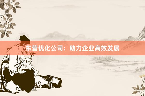 东营优化公司：助力企业高效发展